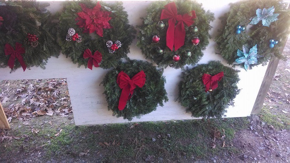 Mountain View Christmas Tree Farm: farm photo