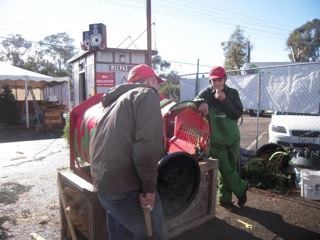 Anthony's Christmas Trees and Wreaths, Inc.: farm photo