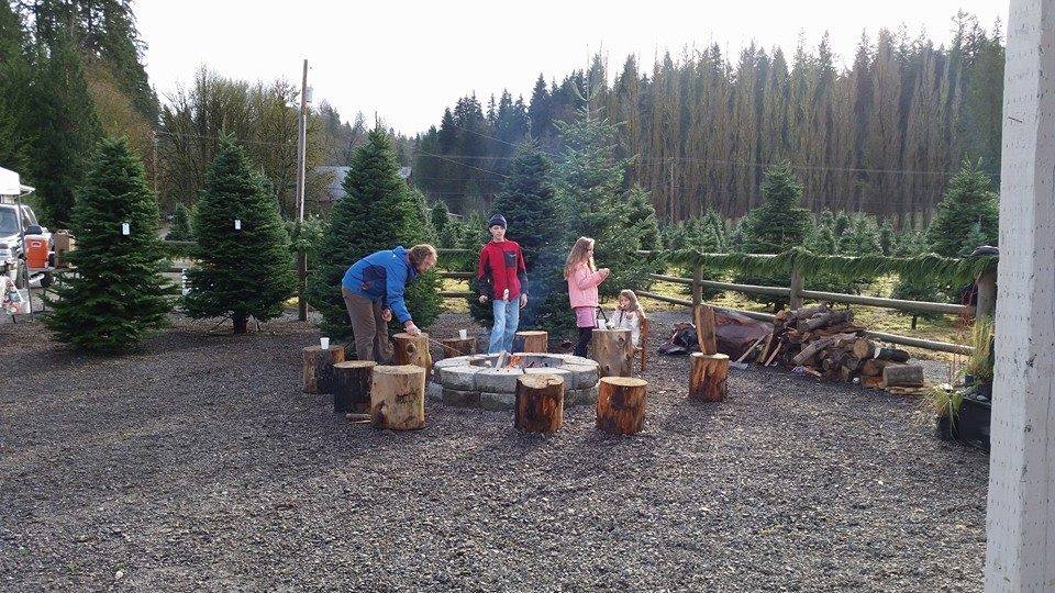 JP Landscape Tree Farm: farm photo