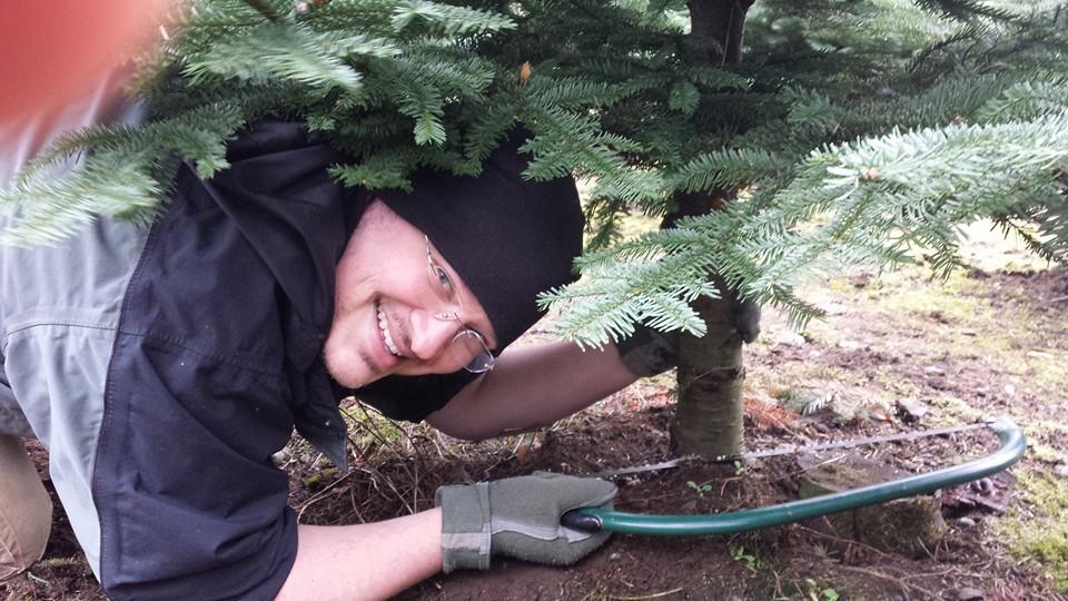 Mountain Creek Christmas Tree Farm: farm photo
