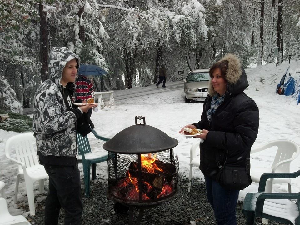North Star Tree Farm: farm photo