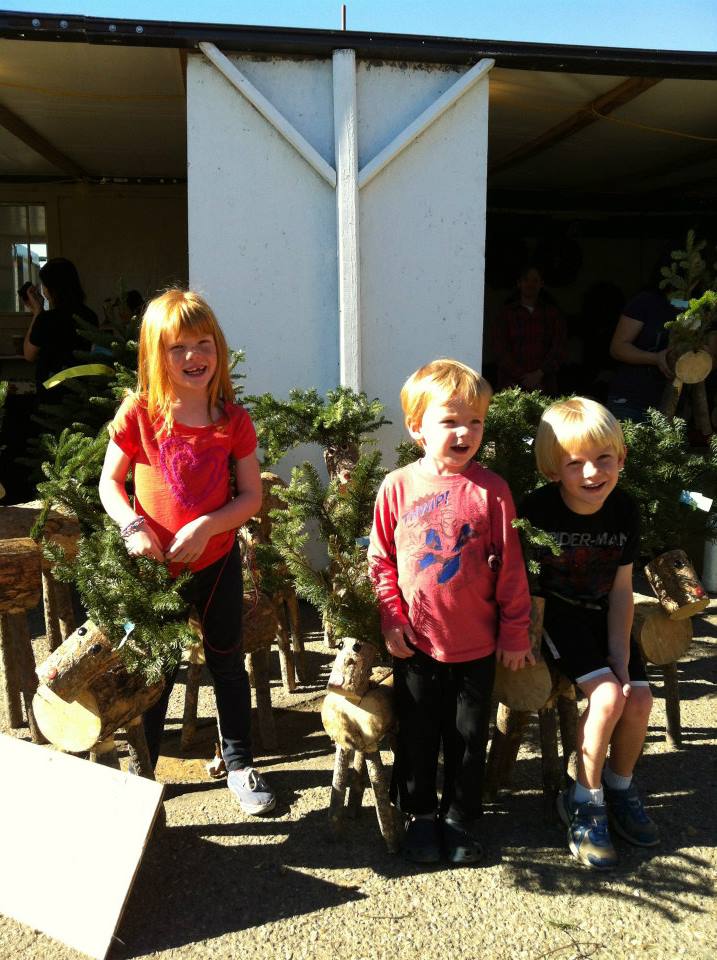 Anthony's Christmas Trees and Wreaths, Inc.: farm photo
