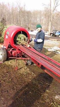 Maple Row Farm: farm photo