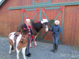 Clyde 'n Dale's Holiday Trees and Gifts: farm photo