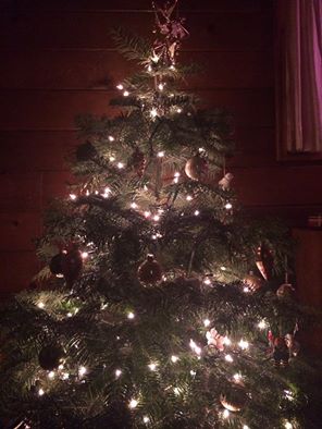 Crown Christmas Tree Farm: farm photo