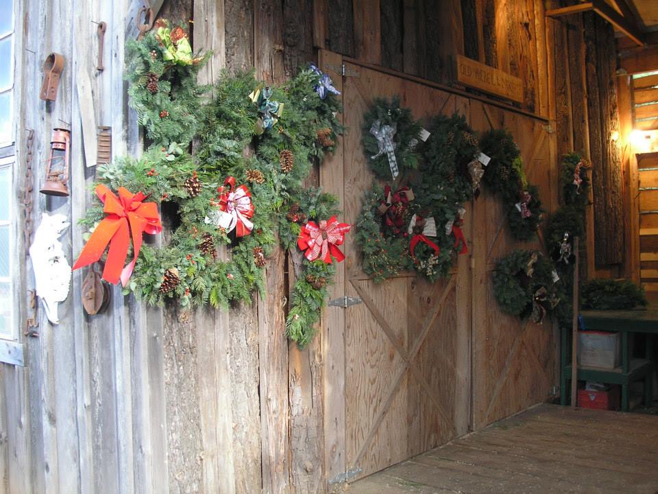 Davis Ranch: farm photo