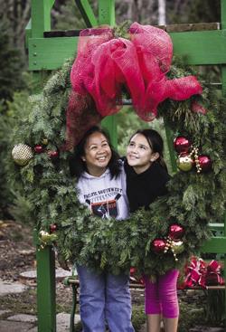 Patchen California Christmas Tree Farm: farm photo