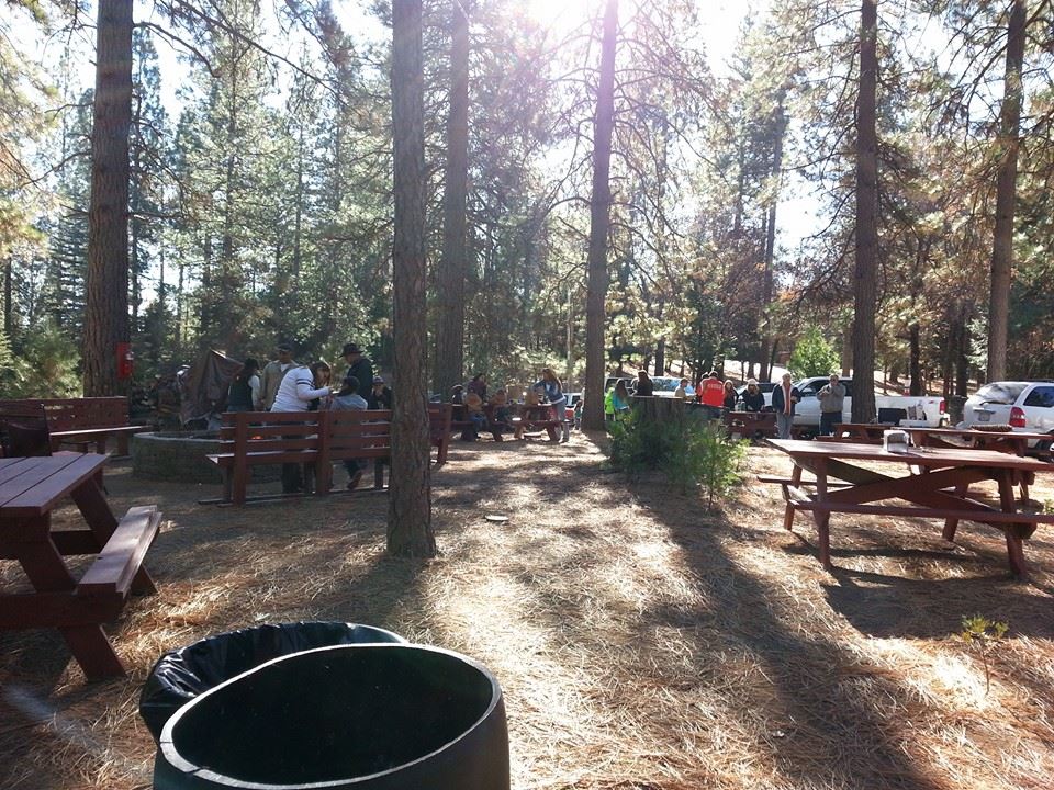 Cal Sierra Tree Farm: farm photo