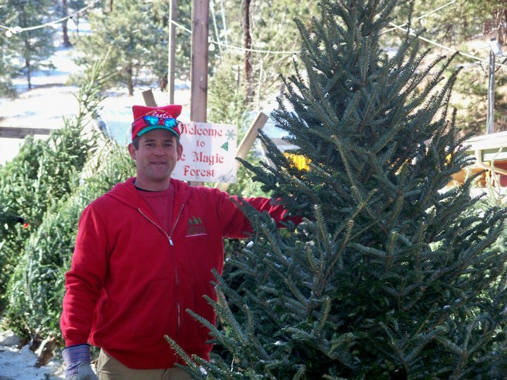 Luckylure Christmas Trees: farm photo