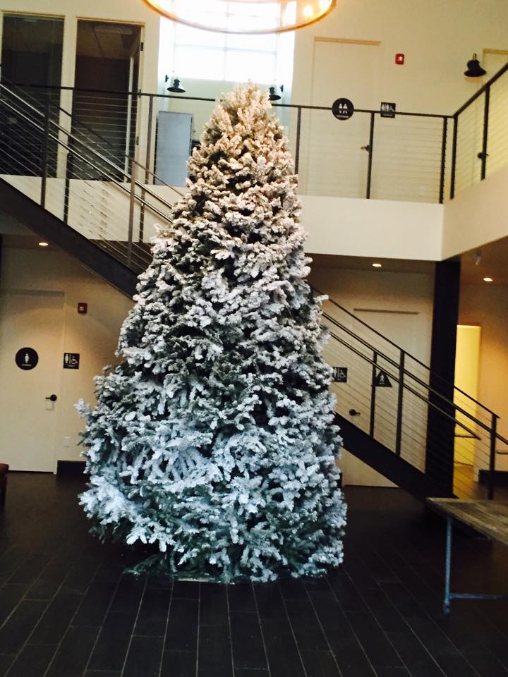 Garlock Christmas Tree Farm: farm photo