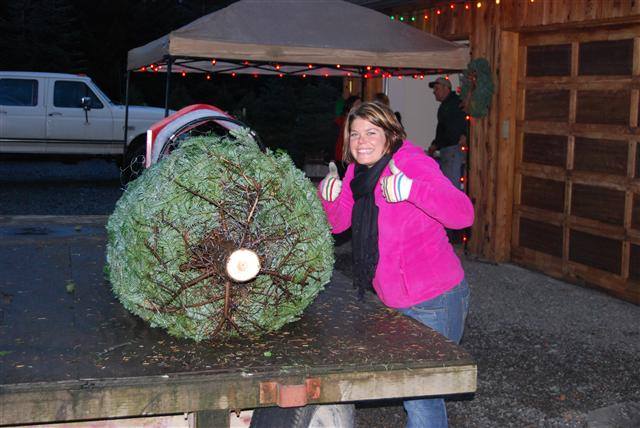 Holiday U-Cut Christmas Trees: farm photo