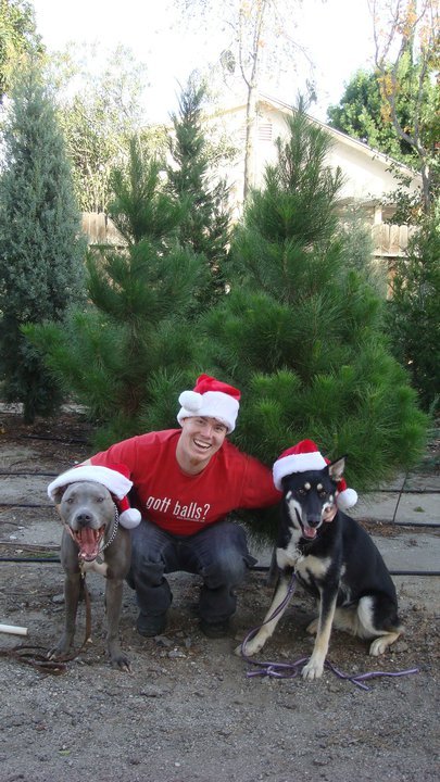 Christmas Ranch Tree Farms – Thousand Oaks: farm photo