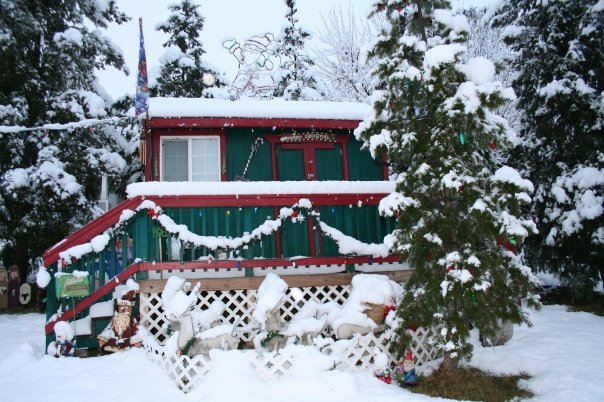 Poppy Lane Christmas Farm: farm photo