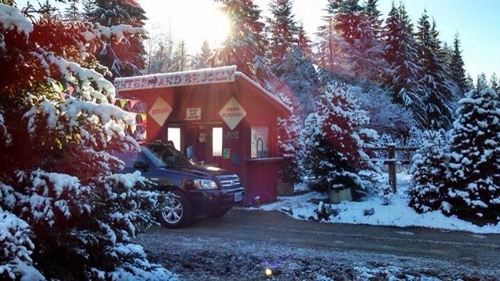Farmer Brown's Christmas Tree Farm: farm photo