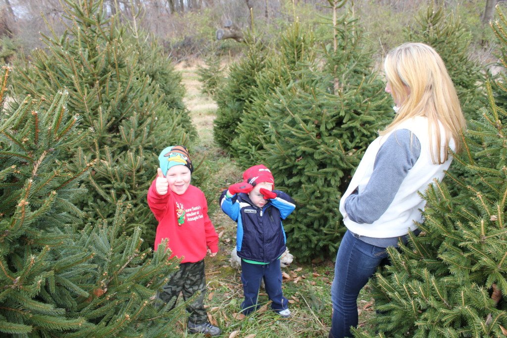 Holiday Hayride: farm photo
