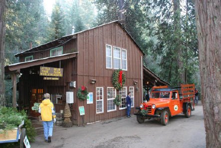 Little Bear Tree Farm: farm photo