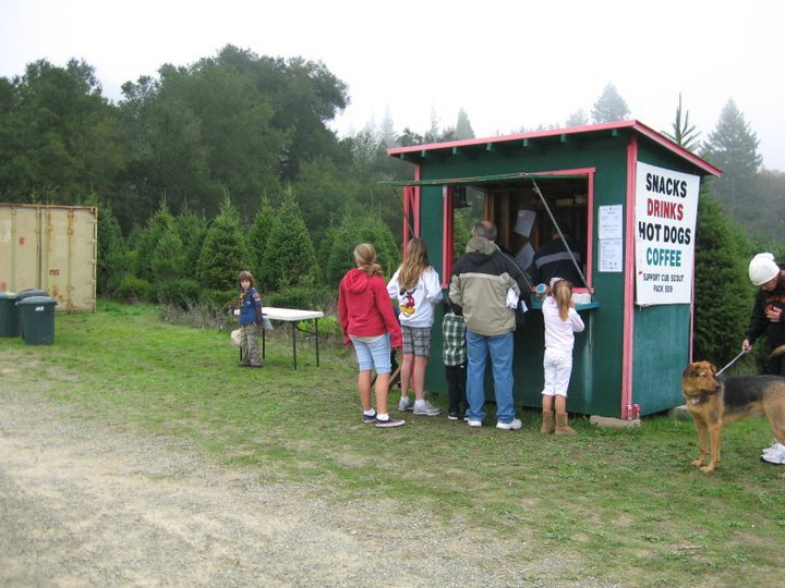 Summit Christmas Tree Farm: farm photo