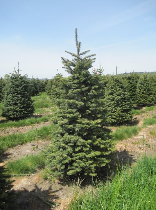 Stocker Farms: farm photo