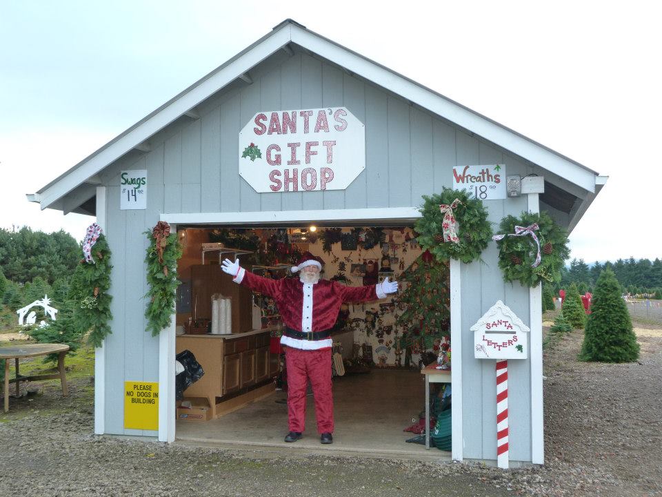 Larwick U-cut Christmas Tree Farm: farm photo