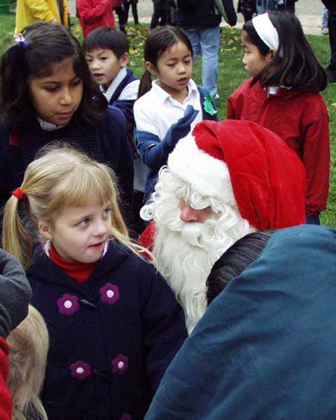 Patchen California Christmas Tree Farm: farm photo