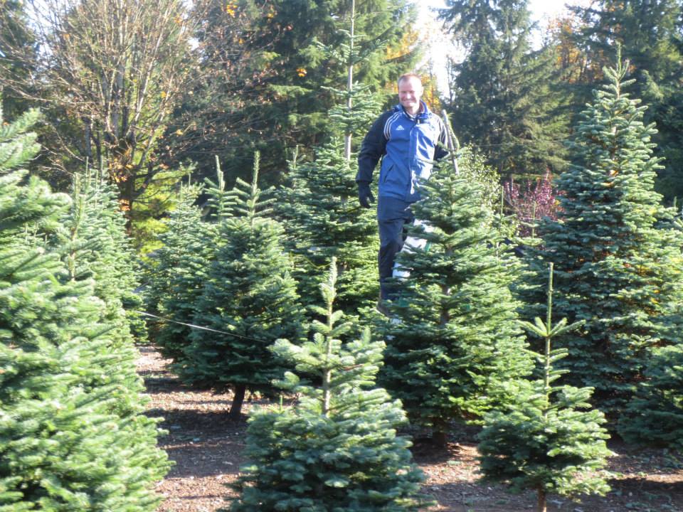 Clyde 'n Dale's Holiday Trees and Gifts: farm photo