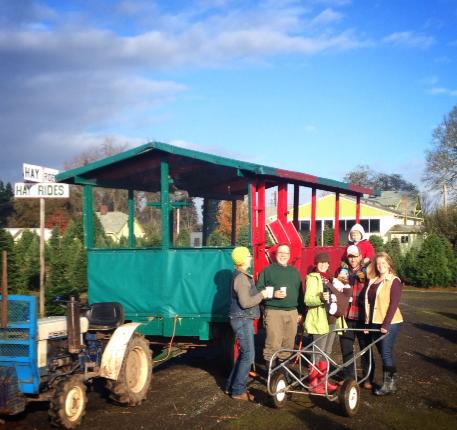 Thorntons' Treeland: farm photo