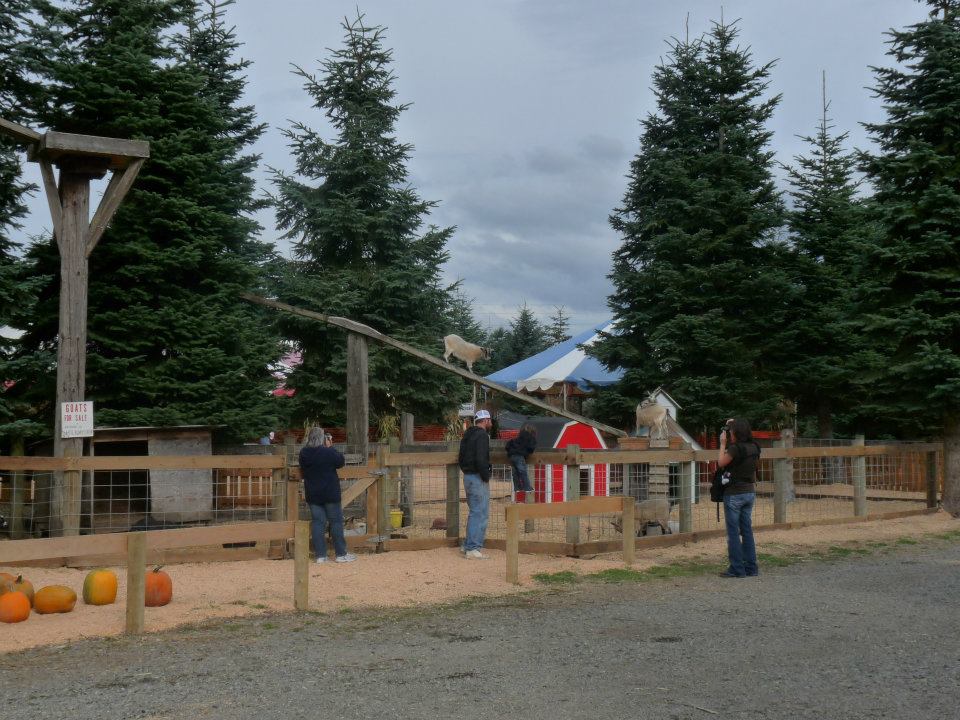 Hunter Family Farm: farm photo