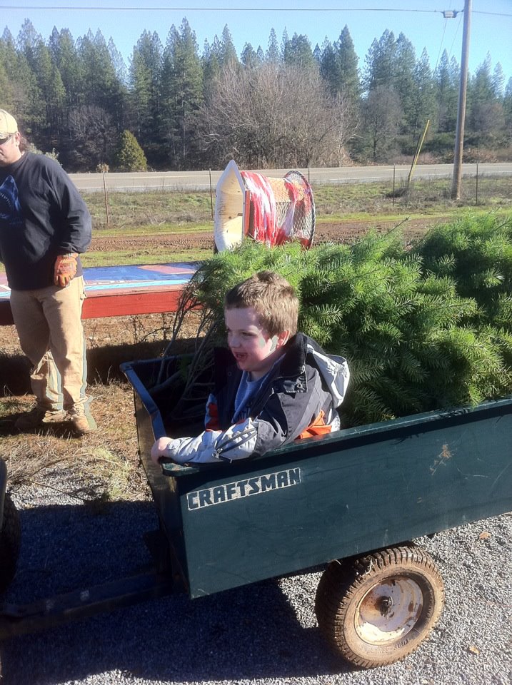 Kenny, Harry & Heidi's Tree Farm: farm photo