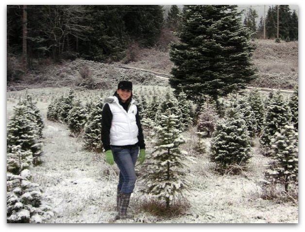 Pilchuck Secret Valley Christmas Trees: farm photo