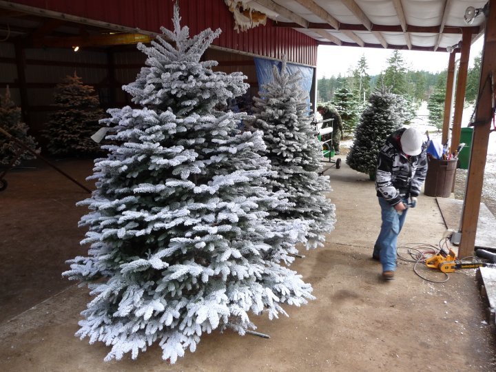 The Wreath Works: farm photo