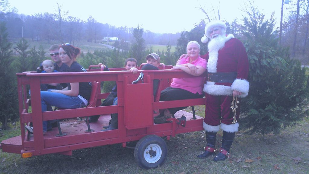 Papa Santa’s Christmas Tree Farm: farm photo
