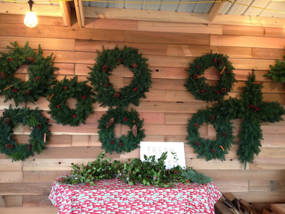 Pilchuck Secret Valley Christmas Trees: farm photo