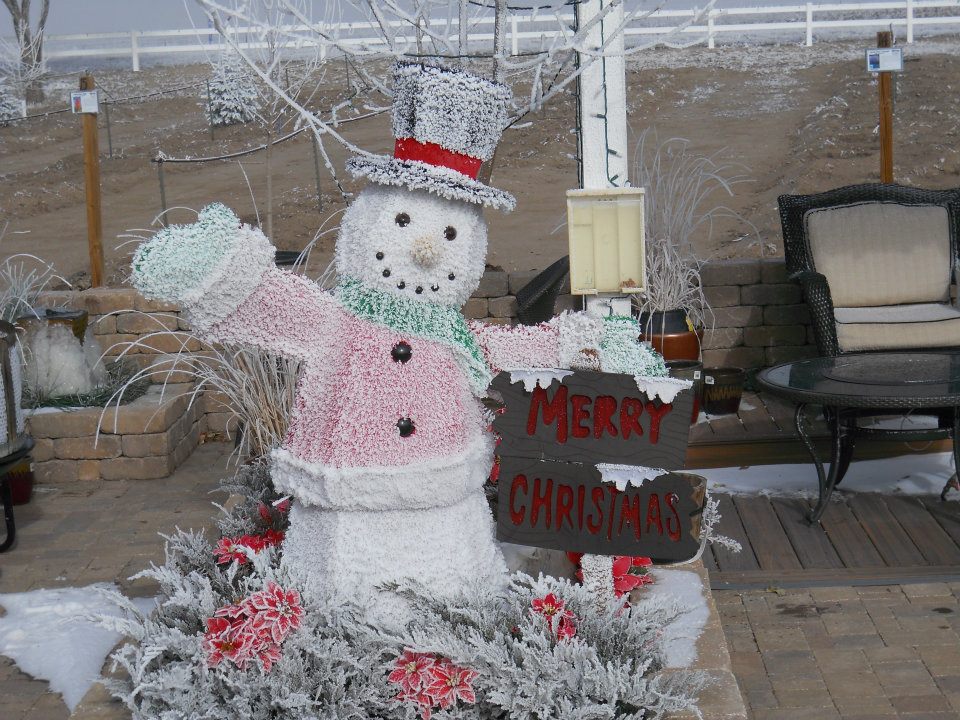 Heidrich’s Colorado Tree Farm Nursery LLC: farm photo