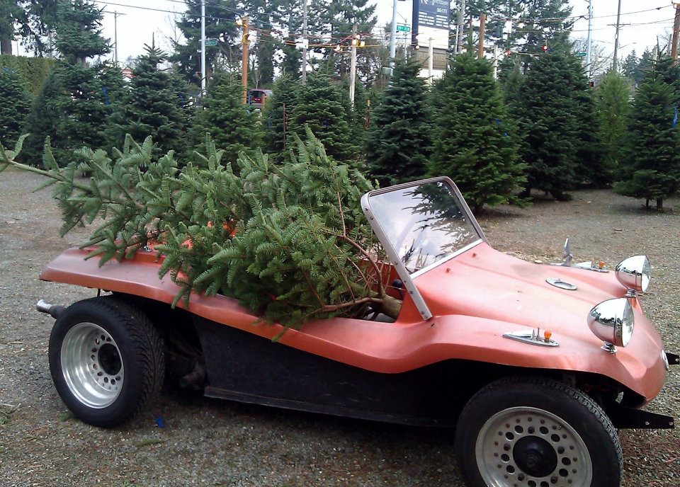 Menefees Christmas Trees Central Tacoma: farm photo