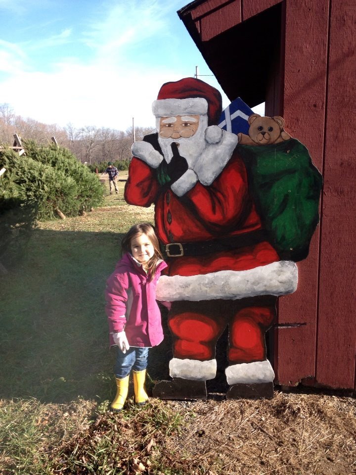 Maple Row Farm: farm photo