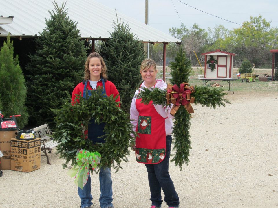 Concho Christmas Tree Farm: farm photo