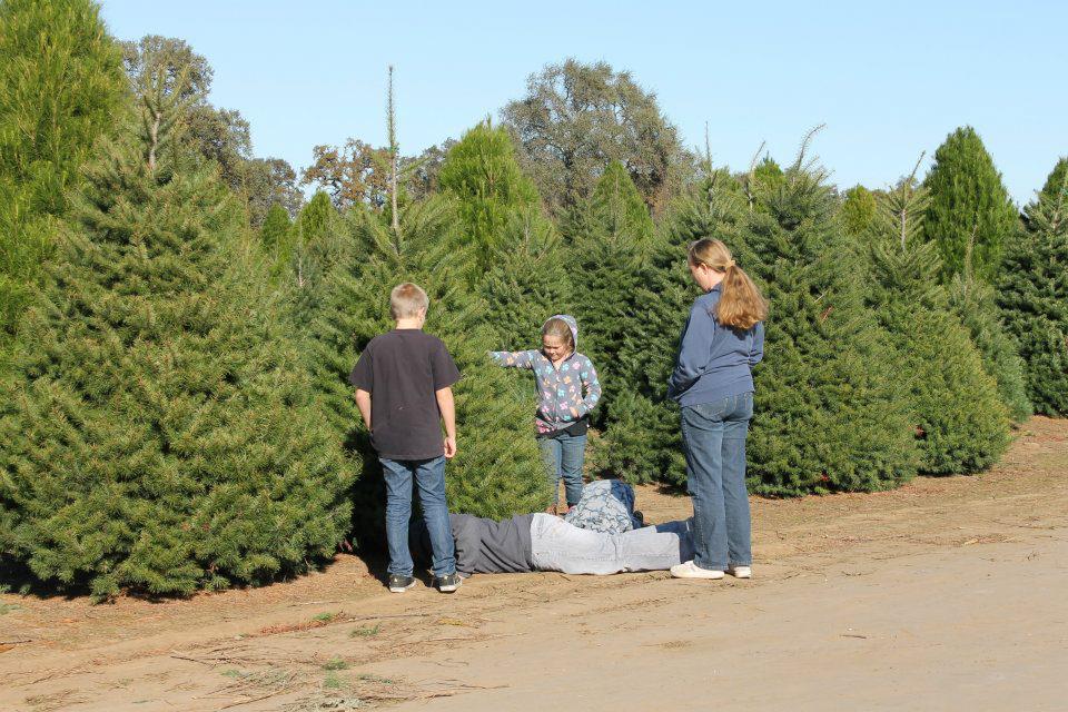 Davis Ranch: farm photo