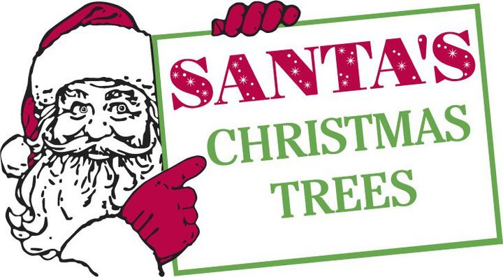 Santa's Christmas Tree's: farm photo