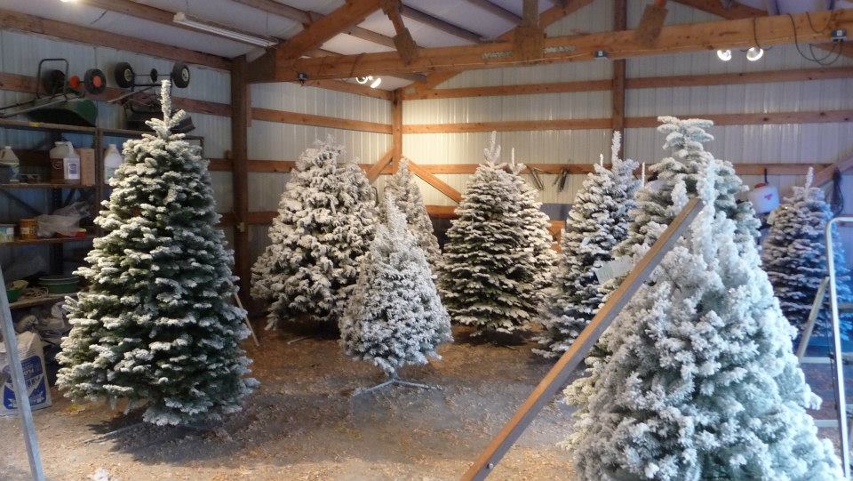 The Wreath Works: farm photo