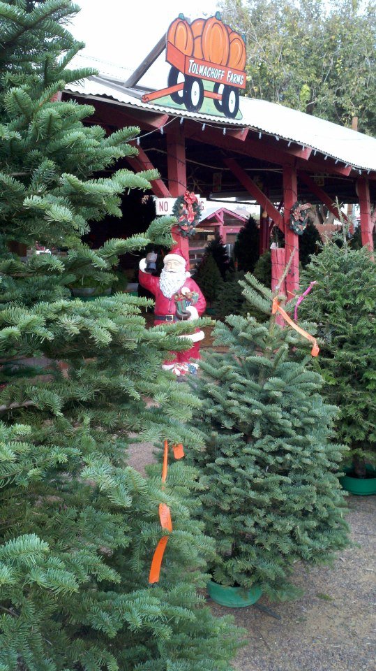 Tolmachoff Farms: farm photo