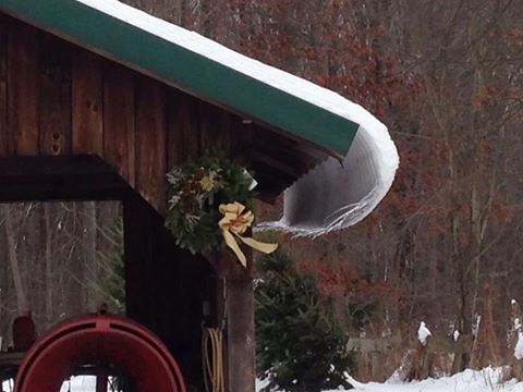 Dumas Christmas Tree Farm: farm photo