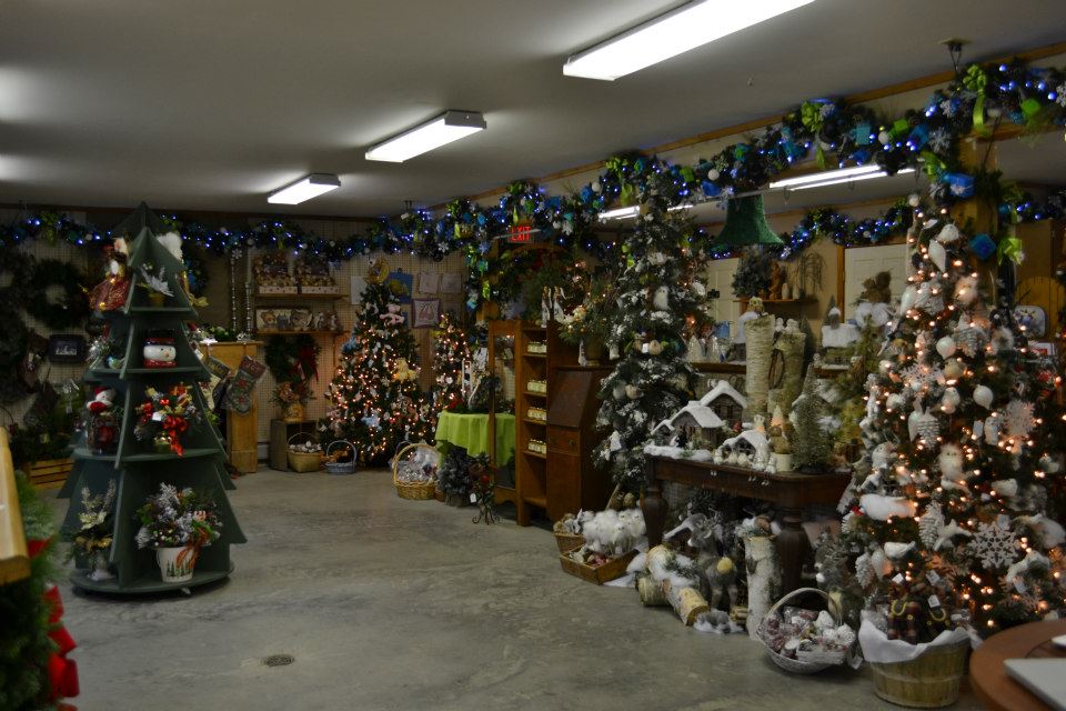 Bob's Trees: farm photo