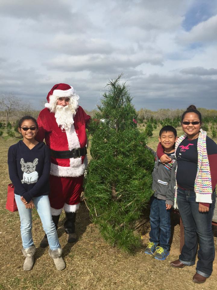 Seiler's Christmas Tree Farm: farm photo