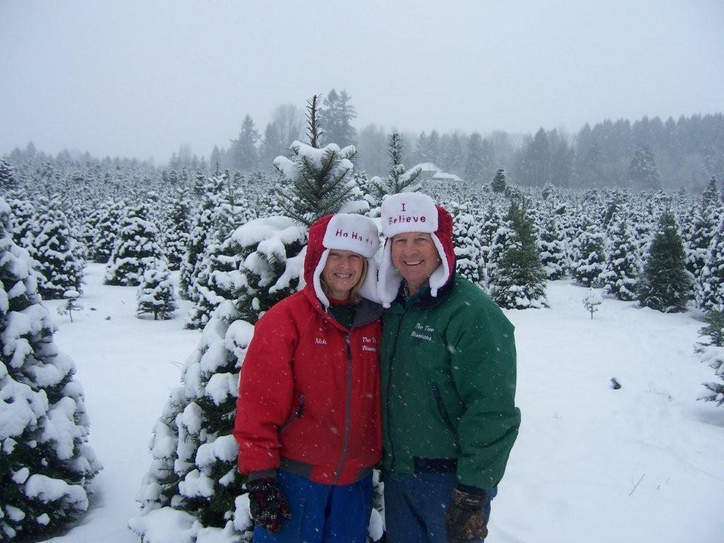 The Tree Wisemans Christmas tree farm: farm photo