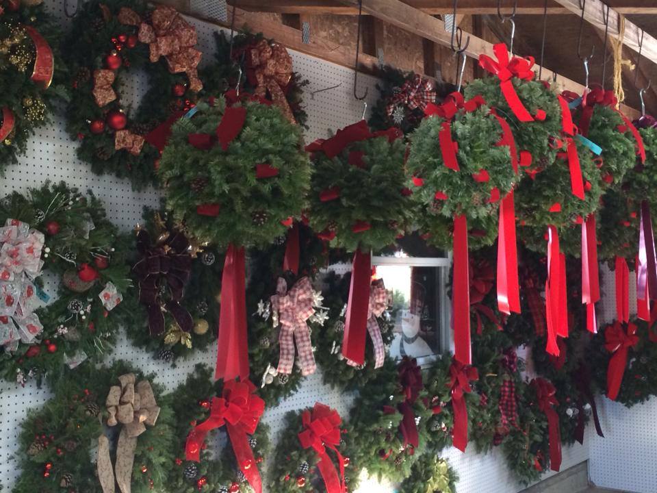 Bob's Trees: farm photo