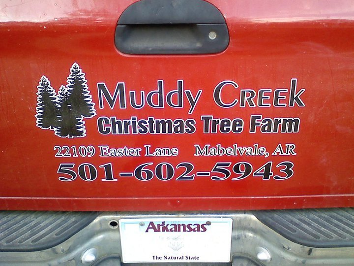 Muddy Creek Christmas Tree Farm: farm photo