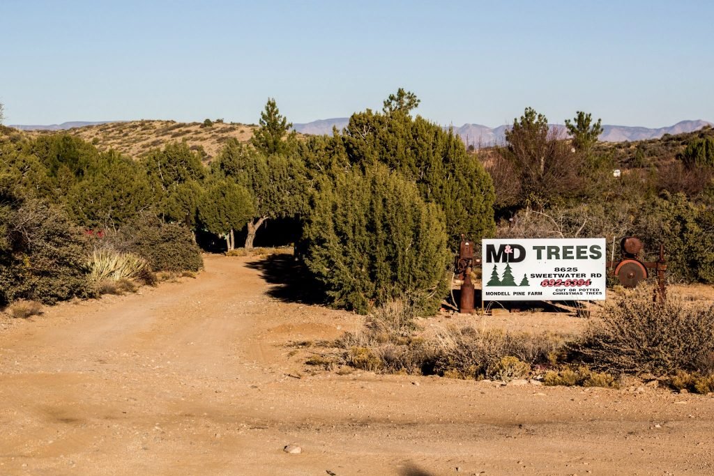 Mondell Pine Farm: farm photo