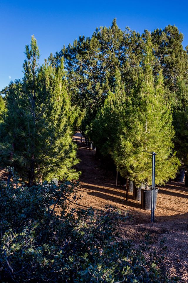 Mondell Pine Farm: farm photo