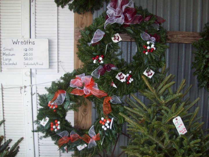 Evergreen Farms Christmas Trees: farm photo