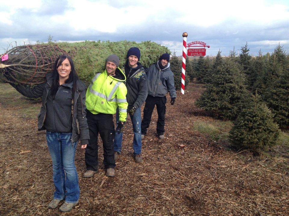 Bengtson Christmas Tree Farm: farm photo